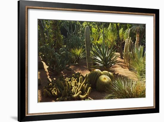 The Majorelle Gardens, Marrakesh, Morocco, North Africa, Africa-Jochen Schlenker-Framed Photographic Print