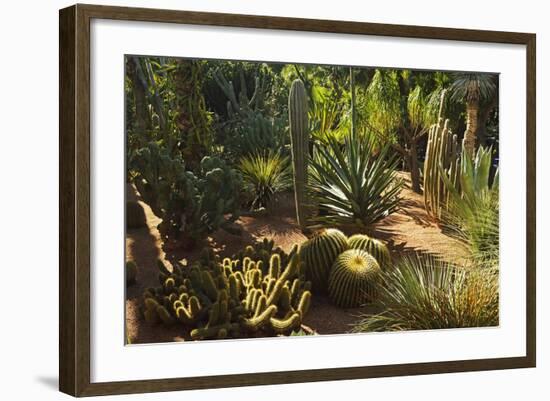 The Majorelle Gardens, Marrakesh, Morocco, North Africa, Africa-Jochen Schlenker-Framed Photographic Print