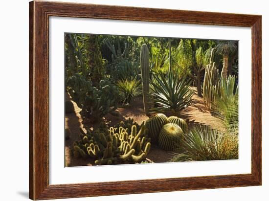 The Majorelle Gardens, Marrakesh, Morocco, North Africa, Africa-Jochen Schlenker-Framed Photographic Print