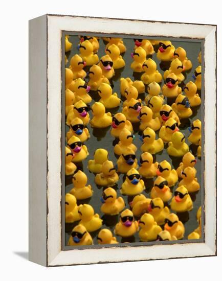 The Make-A-Wish Foundation Releases Rubber Ducks into the Ocean-null-Framed Premier Image Canvas