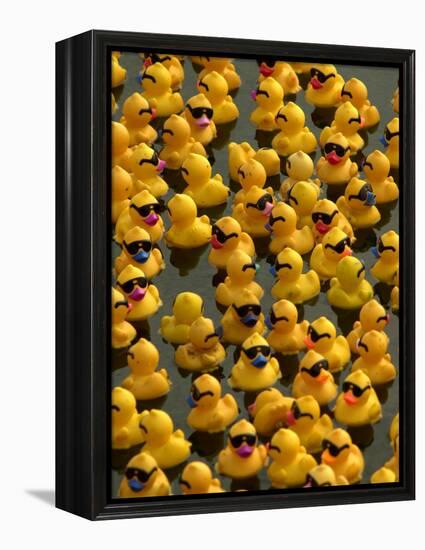 The Make-A-Wish Foundation Releases Rubber Ducks into the Ocean-null-Framed Premier Image Canvas