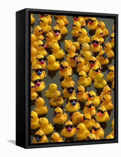 The Make-A-Wish Foundation Releases Rubber Ducks into the Ocean-null-Framed Premier Image Canvas