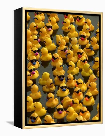 The Make-A-Wish Foundation Releases Rubber Ducks into the Ocean-null-Framed Premier Image Canvas