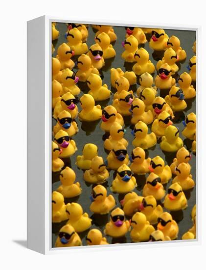 The Make-A-Wish Foundation Releases Rubber Ducks into the Ocean-null-Framed Premier Image Canvas