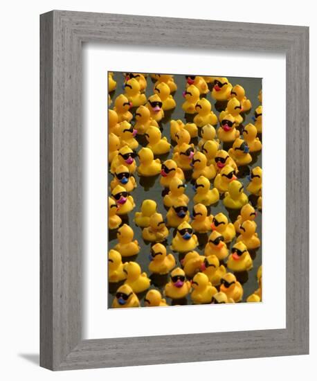 The Make-A-Wish Foundation Releases Rubber Ducks into the Ocean-null-Framed Premium Photographic Print