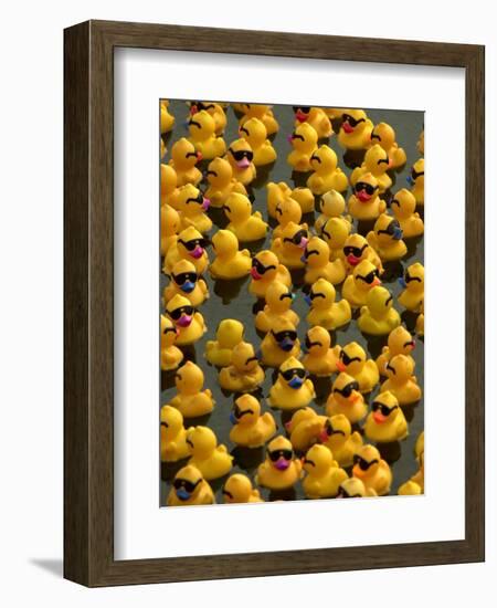 The Make-A-Wish Foundation Releases Rubber Ducks into the Ocean-null-Framed Premium Photographic Print