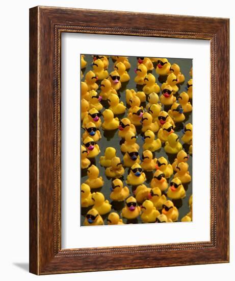 The Make-A-Wish Foundation Releases Rubber Ducks into the Ocean-null-Framed Premium Photographic Print