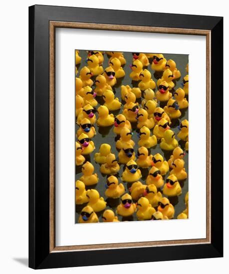 The Make-A-Wish Foundation Releases Rubber Ducks into the Ocean-null-Framed Premium Photographic Print