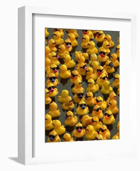 The Make-A-Wish Foundation Releases Rubber Ducks into the Ocean-null-Framed Premium Photographic Print