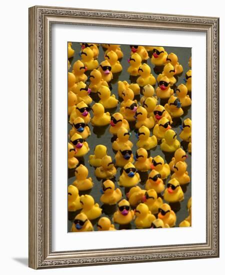 The Make-A-Wish Foundation Releases Rubber Ducks into the Ocean-null-Framed Photographic Print