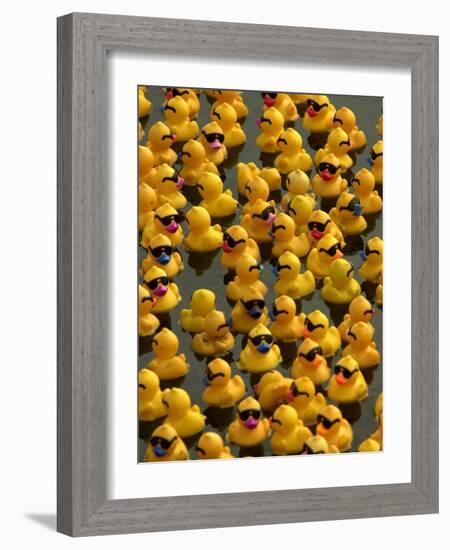 The Make-A-Wish Foundation Releases Rubber Ducks into the Ocean-null-Framed Photographic Print