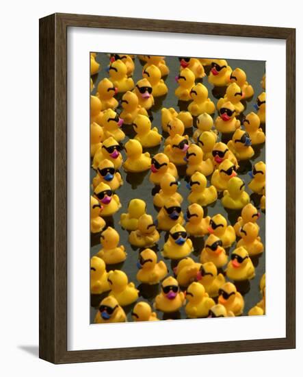 The Make-A-Wish Foundation Releases Rubber Ducks into the Ocean-null-Framed Photographic Print