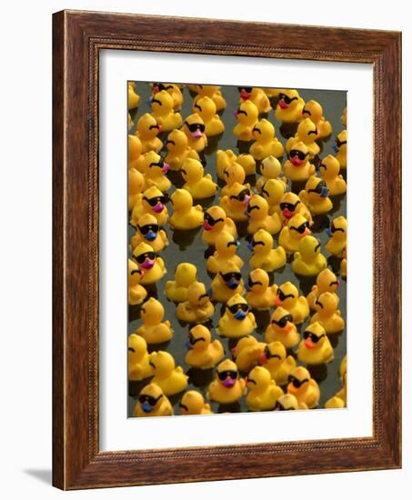 The Make-A-Wish Foundation Releases Rubber Ducks into the Ocean-null-Framed Photographic Print