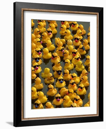 The Make-A-Wish Foundation Releases Rubber Ducks into the Ocean-null-Framed Photographic Print