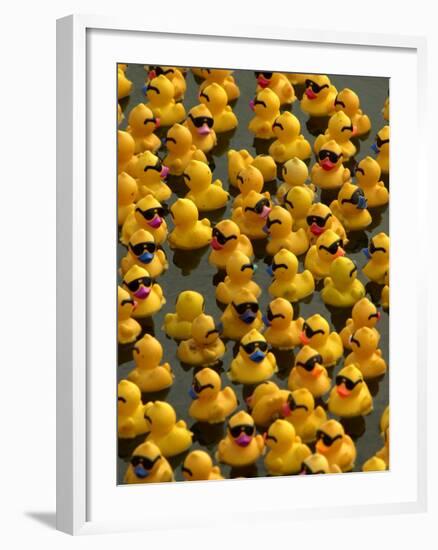 The Make-A-Wish Foundation Releases Rubber Ducks into the Ocean-null-Framed Photographic Print