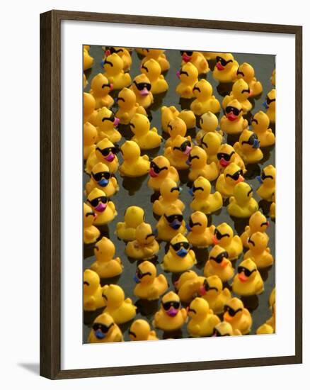 The Make-A-Wish Foundation Releases Rubber Ducks into the Ocean--Framed Photographic Print