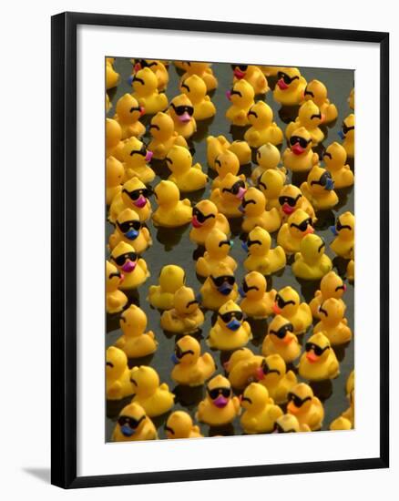 The Make-A-Wish Foundation Releases Rubber Ducks into the Ocean--Framed Photographic Print