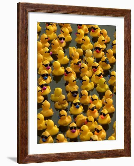 The Make-A-Wish Foundation Releases Rubber Ducks into the Ocean-null-Framed Photographic Print