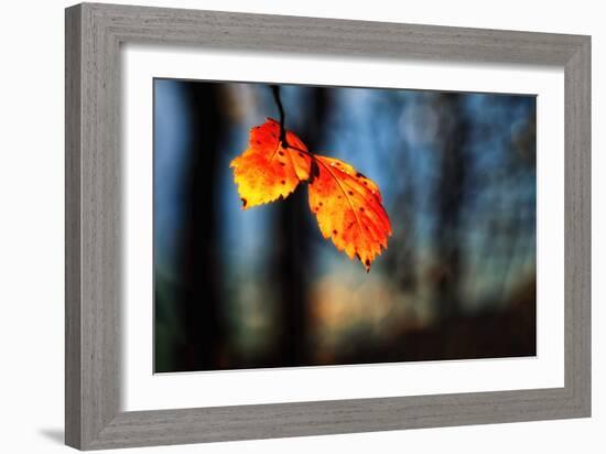 The Making of Orange-Ursula Abresch-Framed Photographic Print