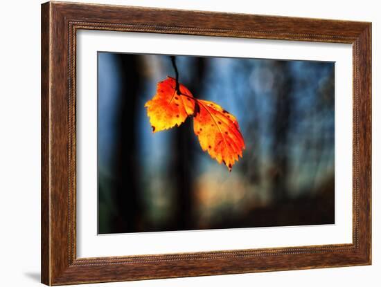 The Making of Orange-Ursula Abresch-Framed Photographic Print