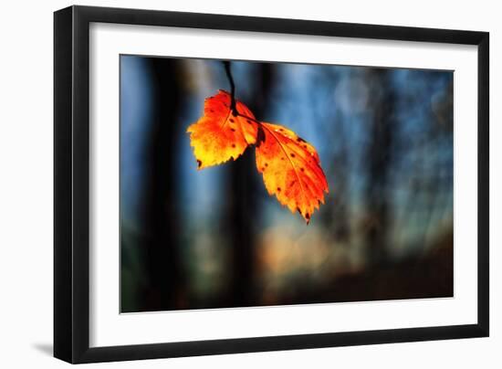 The Making of Orange-Ursula Abresch-Framed Photographic Print