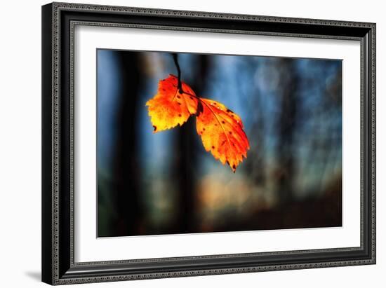 The Making of Orange-Ursula Abresch-Framed Photographic Print