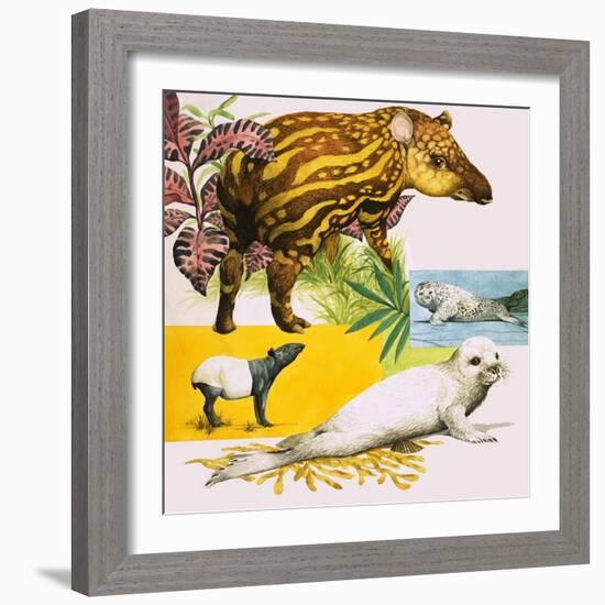 The Malayan Tapir and Atlantic Grey Seal-Eric Tansley-Framed Giclee Print