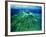 The Malaysian Island of Lankayan-Andrea Ferrari-Framed Photographic Print