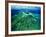 The Malaysian Island of Lankayan-Andrea Ferrari-Framed Photographic Print