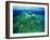 The Malaysian Island of Lankayan-Andrea Ferrari-Framed Photographic Print