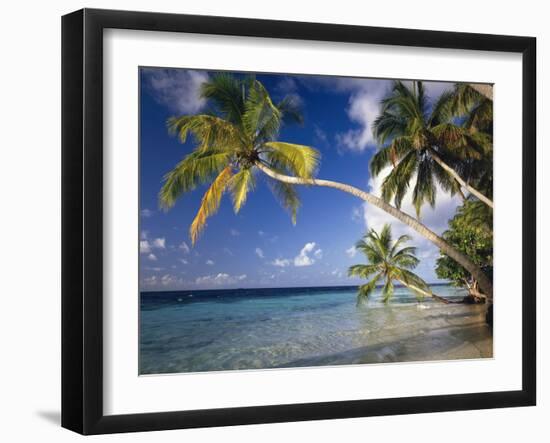 The Maldives, Palm Beach-Thonig-Framed Photographic Print