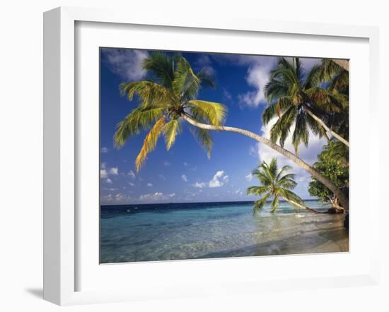 The Maldives, Palm Beach-Thonig-Framed Photographic Print