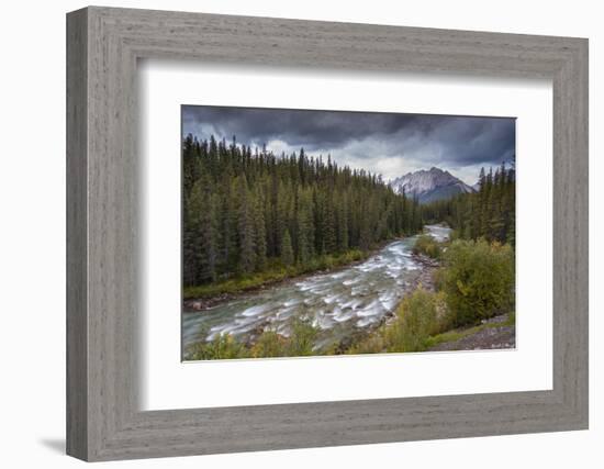 The Maligne River meandering through the Canadian Rockies, Jasper National Park-Adam Burton-Framed Photographic Print