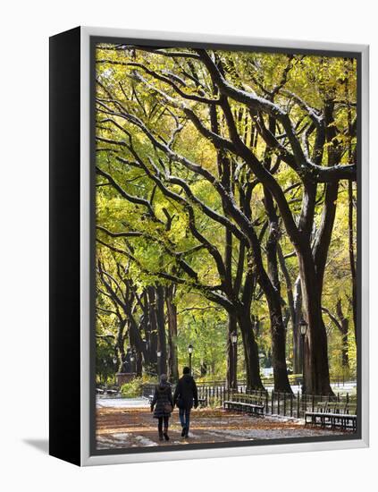 The Mall and Literary Walk with American Elm Trees Forming the Avenue Canopy, New York, USA-Gavin Hellier-Framed Premier Image Canvas