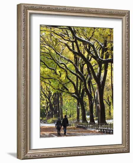 The Mall and Literary Walk with American Elm Trees Forming the Avenue Canopy, New York, USA-Gavin Hellier-Framed Photographic Print