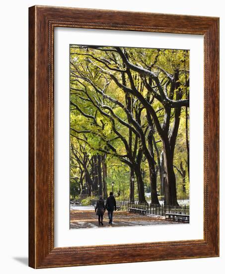 The Mall and Literary Walk with American Elm Trees Forming the Avenue Canopy, New York, USA-Gavin Hellier-Framed Photographic Print