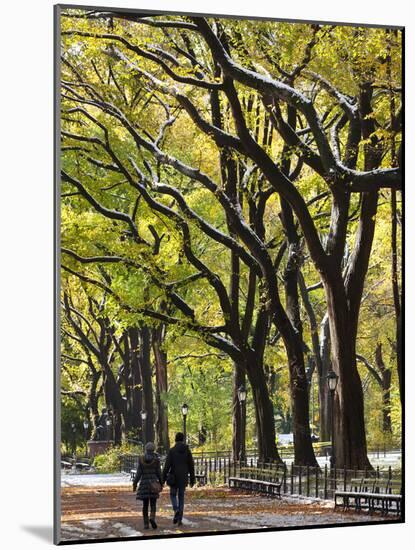 The Mall and Literary Walk with American Elm Trees Forming the Avenue Canopy, New York, USA-Gavin Hellier-Mounted Photographic Print