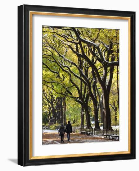 The Mall and Literary Walk with American Elm Trees Forming the Avenue Canopy, New York, USA-Gavin Hellier-Framed Photographic Print