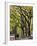 The Mall and Literary Walk with American Elm Trees Forming the Avenue Canopy, New York, USA-Gavin Hellier-Framed Photographic Print