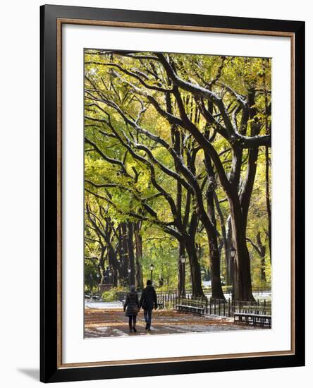 The Mall and Literary Walk with American Elm Trees Forming the Avenue Canopy, New York, USA-Gavin Hellier-Framed Photographic Print