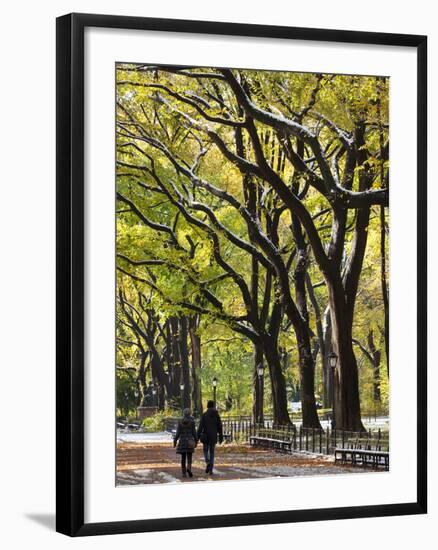 The Mall and Literary Walk with American Elm Trees Forming the Avenue Canopy, New York, USA-Gavin Hellier-Framed Photographic Print