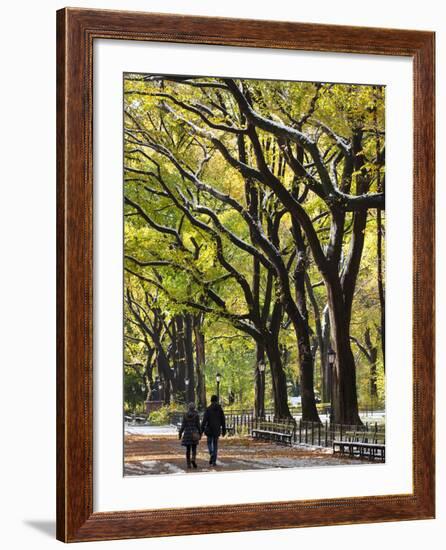 The Mall and Literary Walk with American Elm Trees Forming the Avenue Canopy, New York, USA-Gavin Hellier-Framed Photographic Print