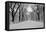 The Mall Washington Dc-Bill Carson Photography-Framed Premier Image Canvas