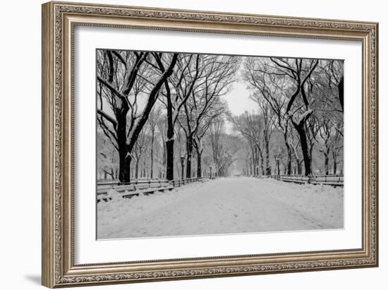 The Mall Washington Dc-Bill Carson Photography-Framed Photographic Print