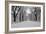 The Mall Washington Dc-Bill Carson Photography-Framed Photographic Print