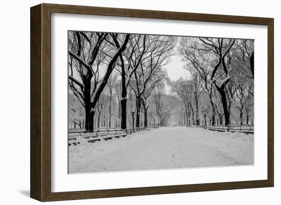 The Mall Washington Dc-Bill Carson Photography-Framed Photographic Print