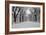 The Mall Washington Dc-Bill Carson Photography-Framed Photographic Print