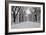 The Mall Washington Dc-Bill Carson Photography-Framed Photographic Print