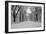 The Mall Washington Dc-Bill Carson Photography-Framed Photographic Print