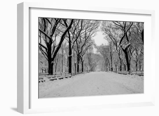 The Mall Washington Dc-Bill Carson Photography-Framed Photographic Print